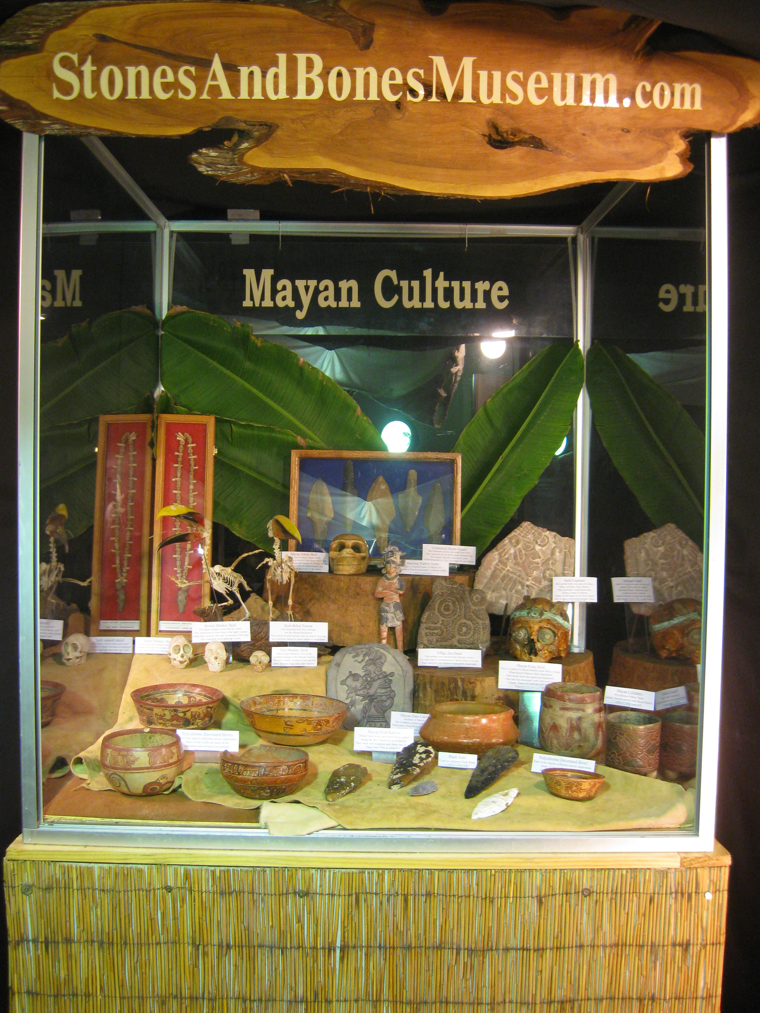 Mayan Culture Artifacts Stones and Bones
