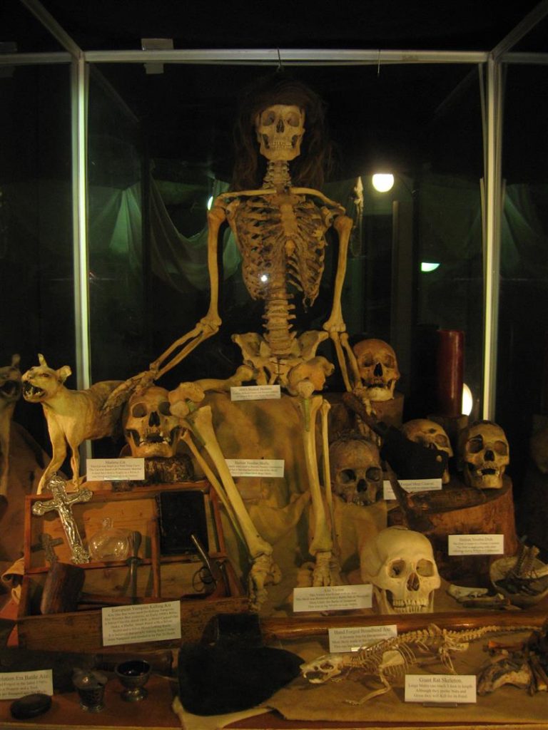 Halloween Voodoo  Stones and Bones Traveling Museum